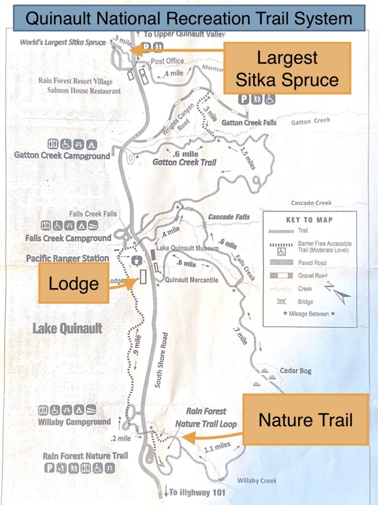 map of trails in Quinault Rain Forest
