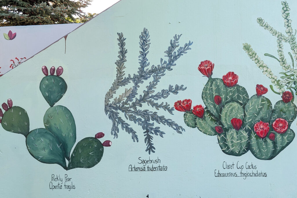 mural with cacti and sagebrush