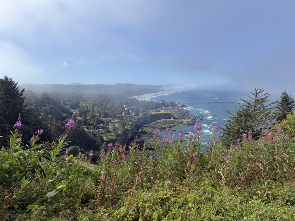 view of ocean from cliff