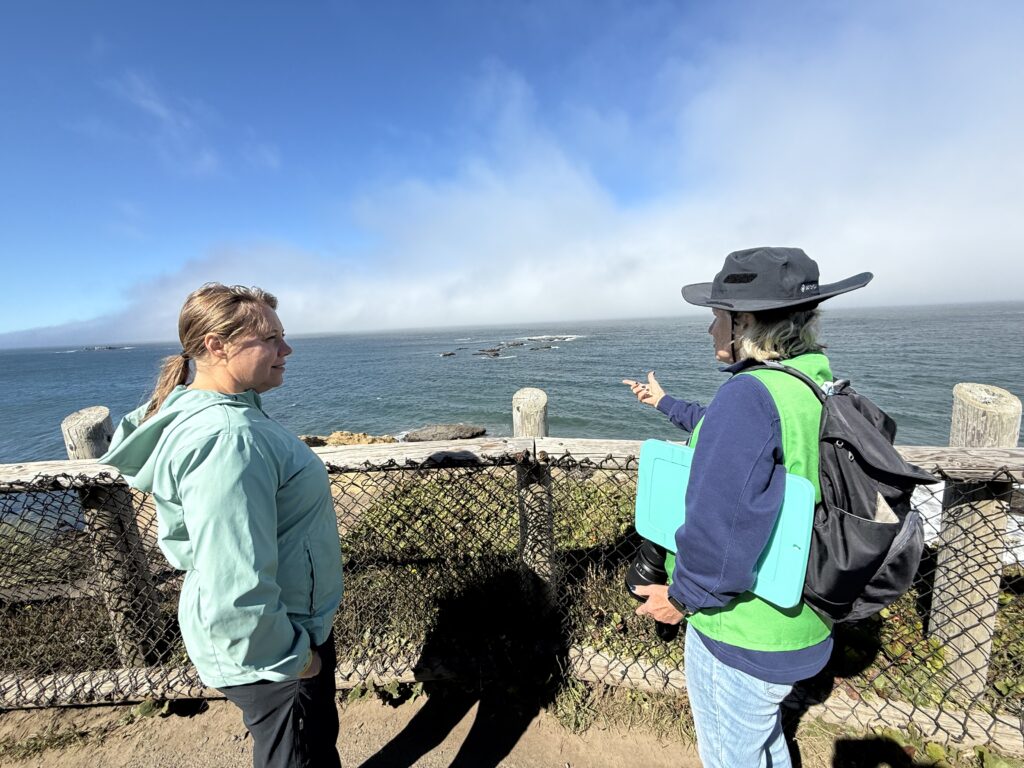 women talking near fence on beach