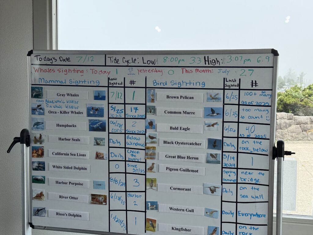white board showing whale sightings