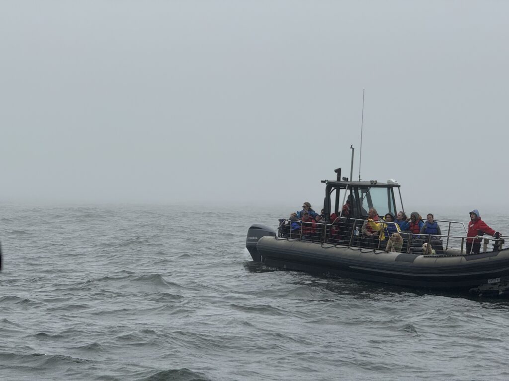 people on whale research boat