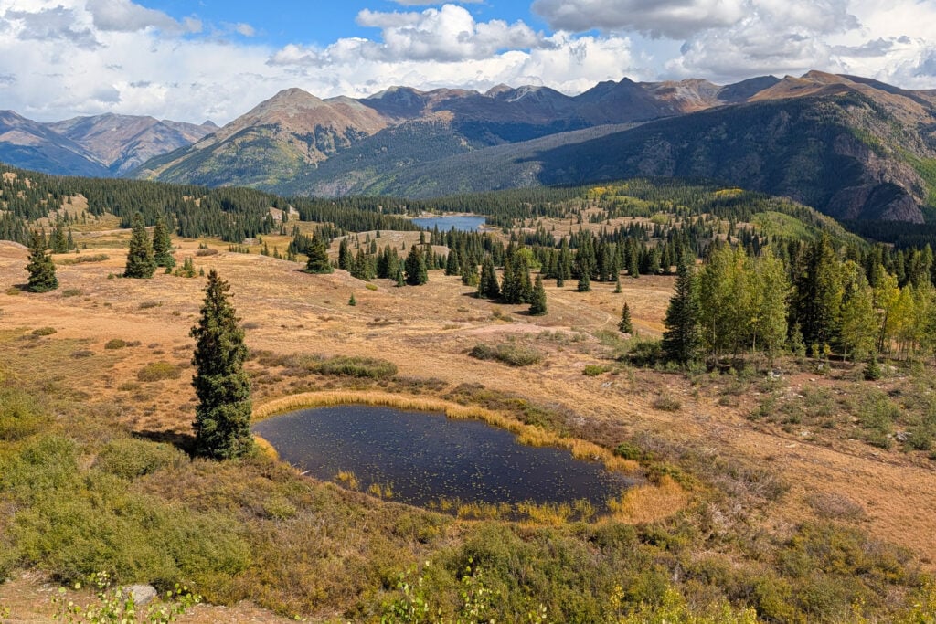 view of valley and pond in forest