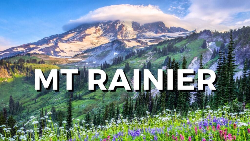 Mt Rainier and wildflowers