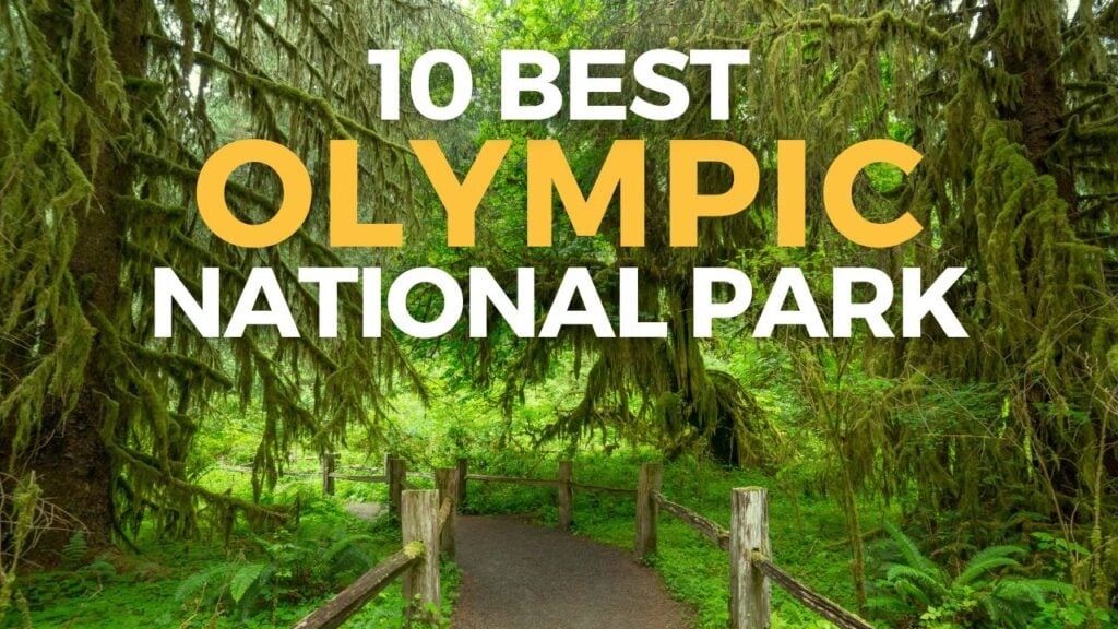 Hoh Rainforest in Olympic National Park