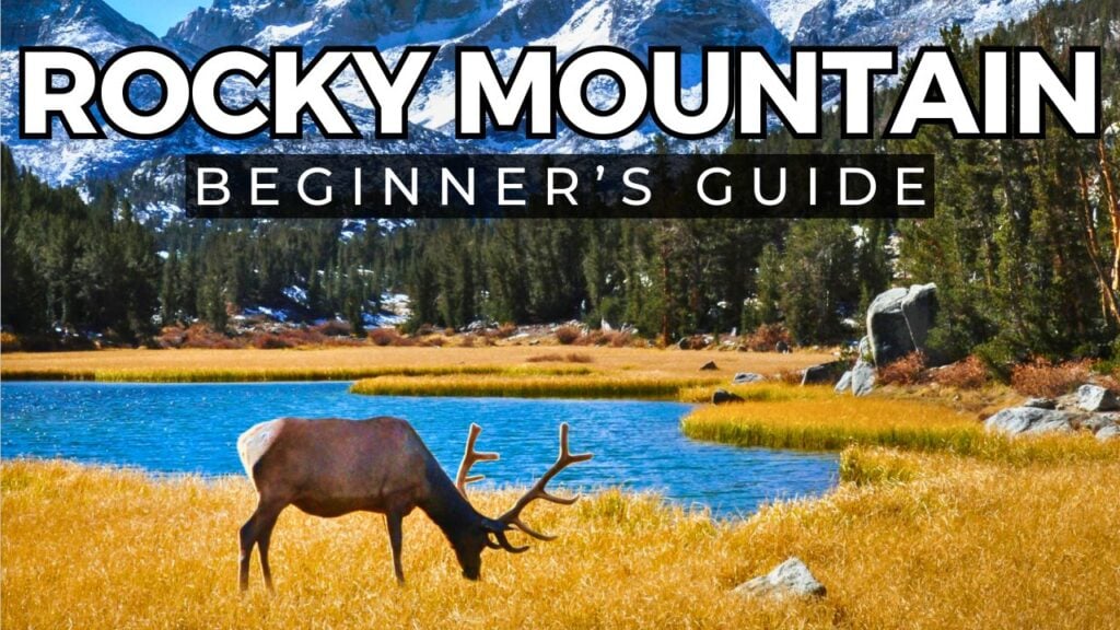 deer by lake in Rocky Mountain