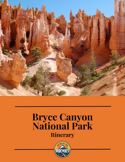 Road Trip Guide