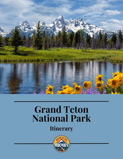 Road Trip Guide
