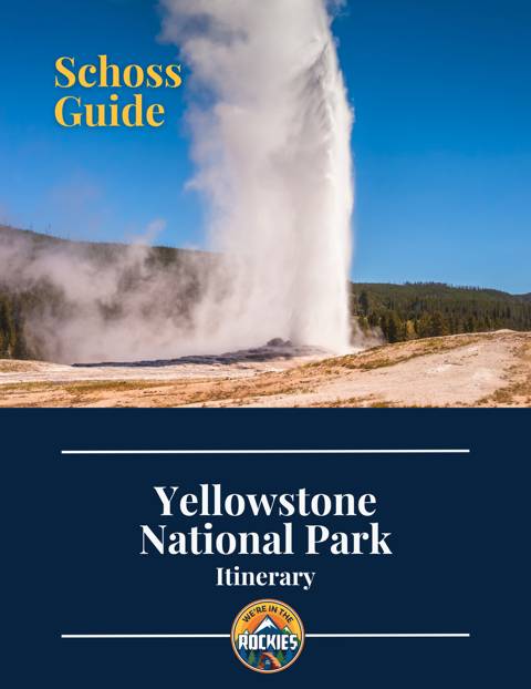 Road Trip Guide