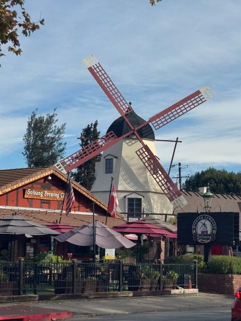 restaurant with windmill behind