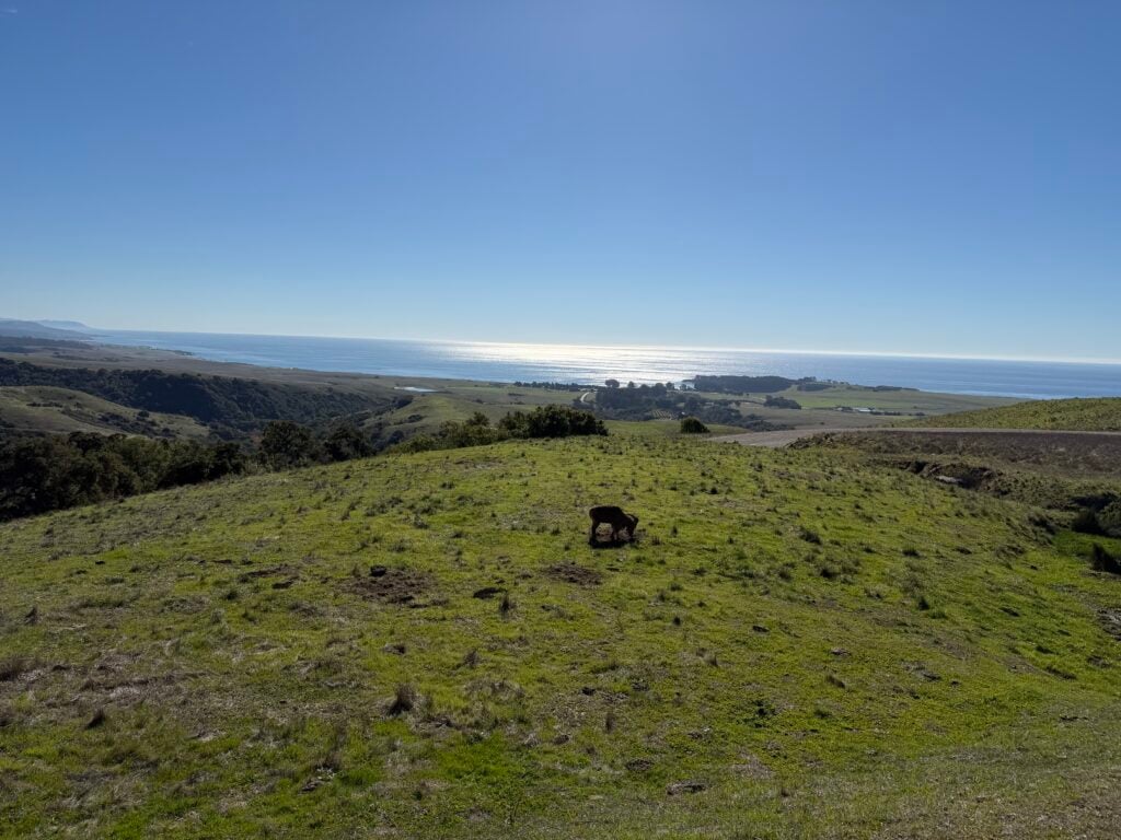view of rolling hills and ocean
