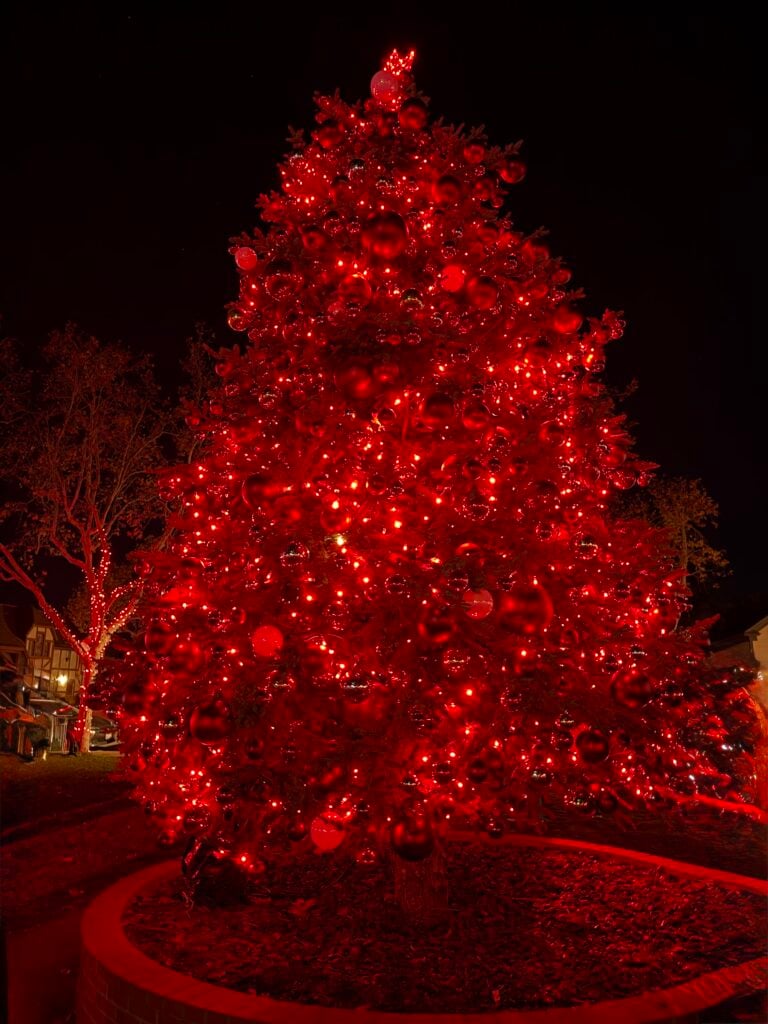 tree with red lights