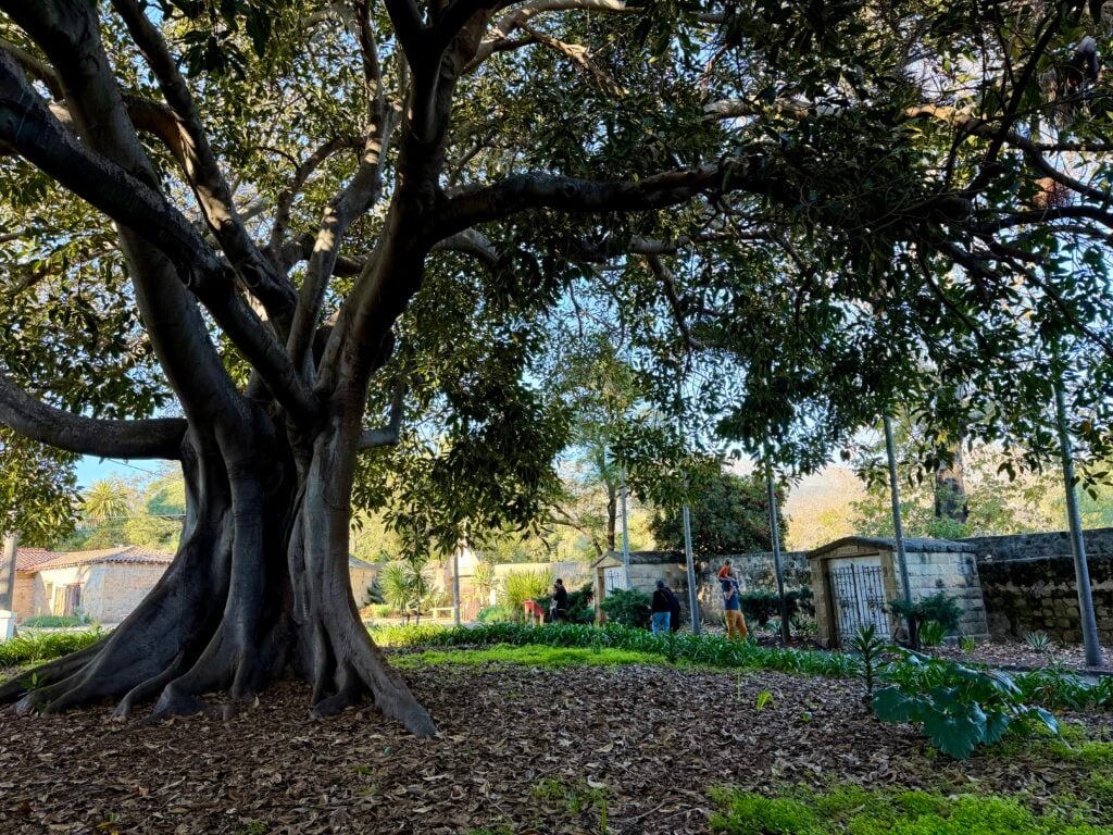 cemetery at Spanish mission in California