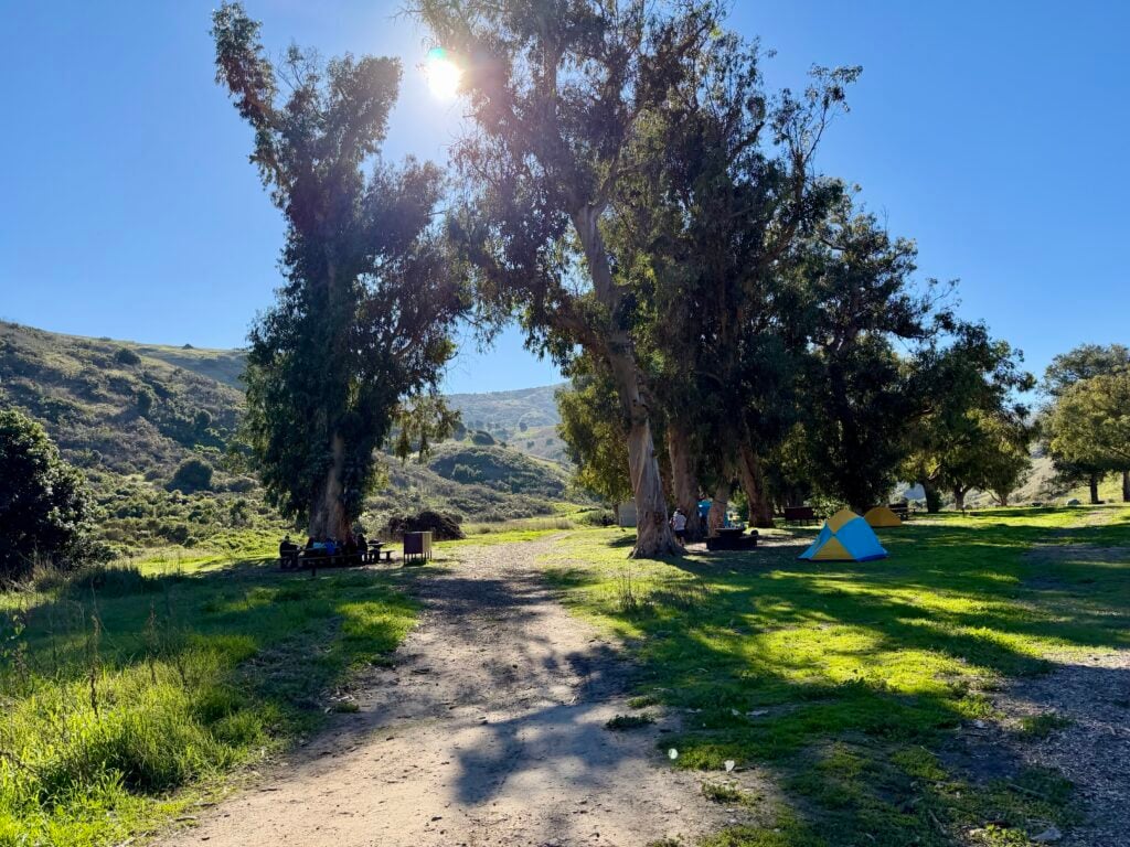 shady campground surrounded by grass