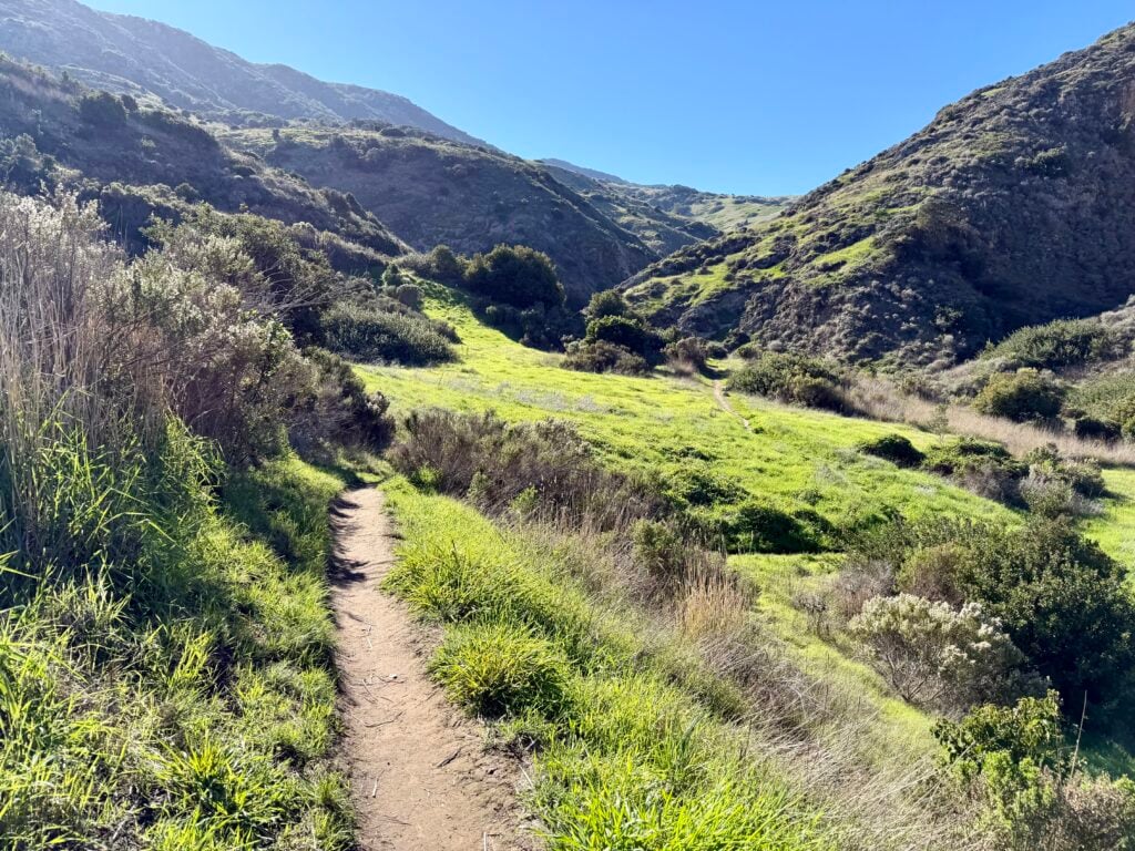 trail through canyon