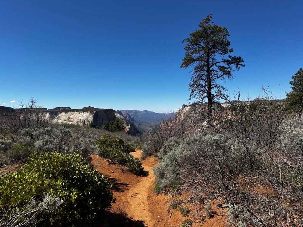 red, sandy trail through desert
