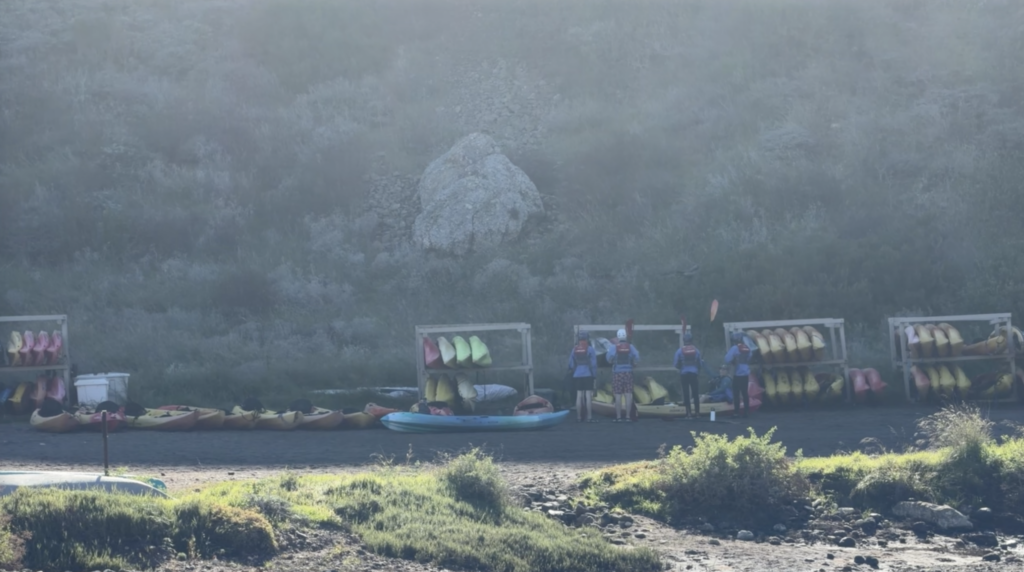 kayaks and life jackets lined up on beach on island
