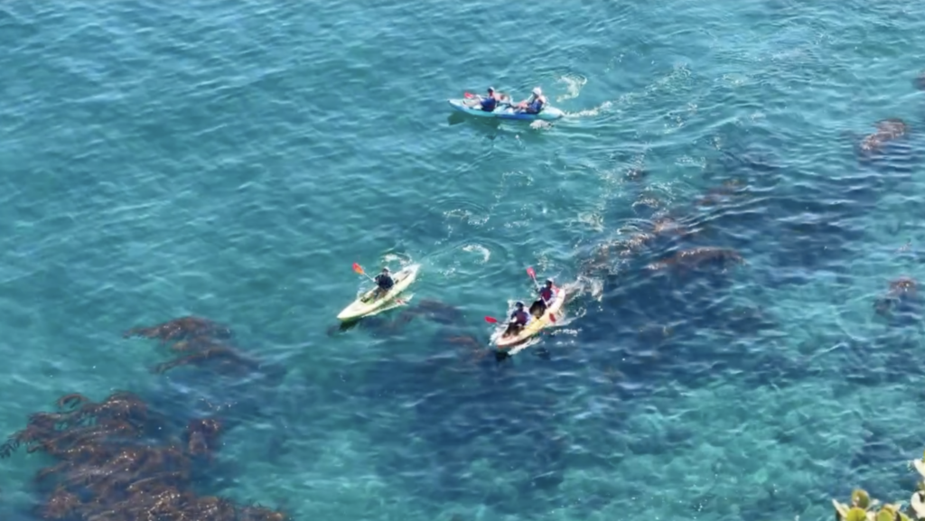people kayaking around island in turquoise waters