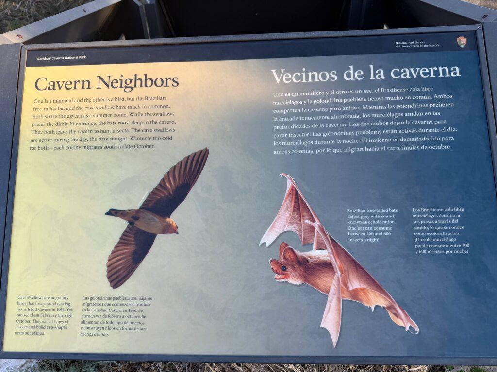 informational sign about bats and birds