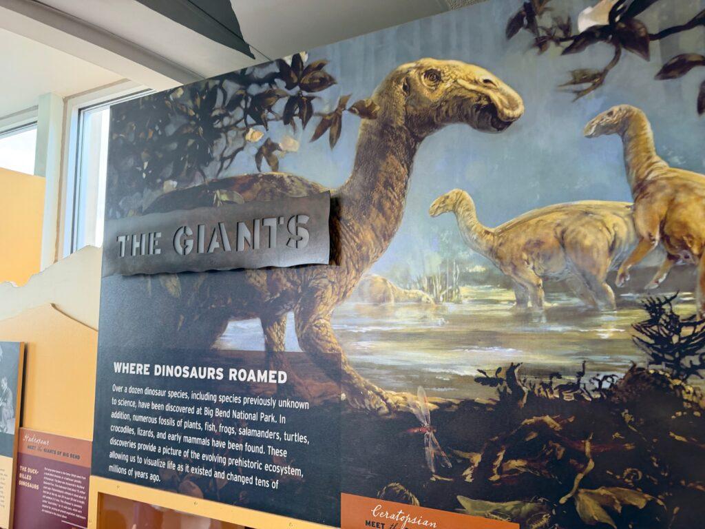 informational sign on dinosaurs