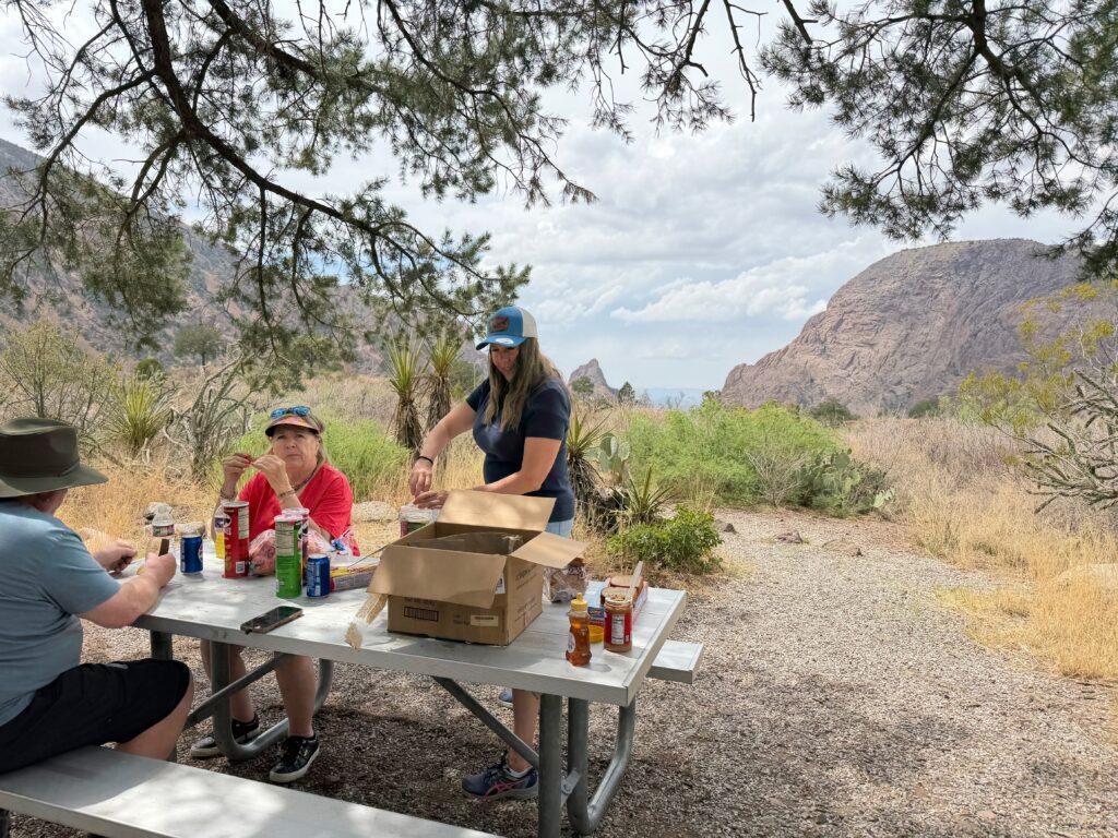 people having picnic at picnic table