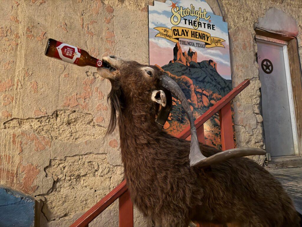 stuffed mountain goat with beer bottle in its mouth