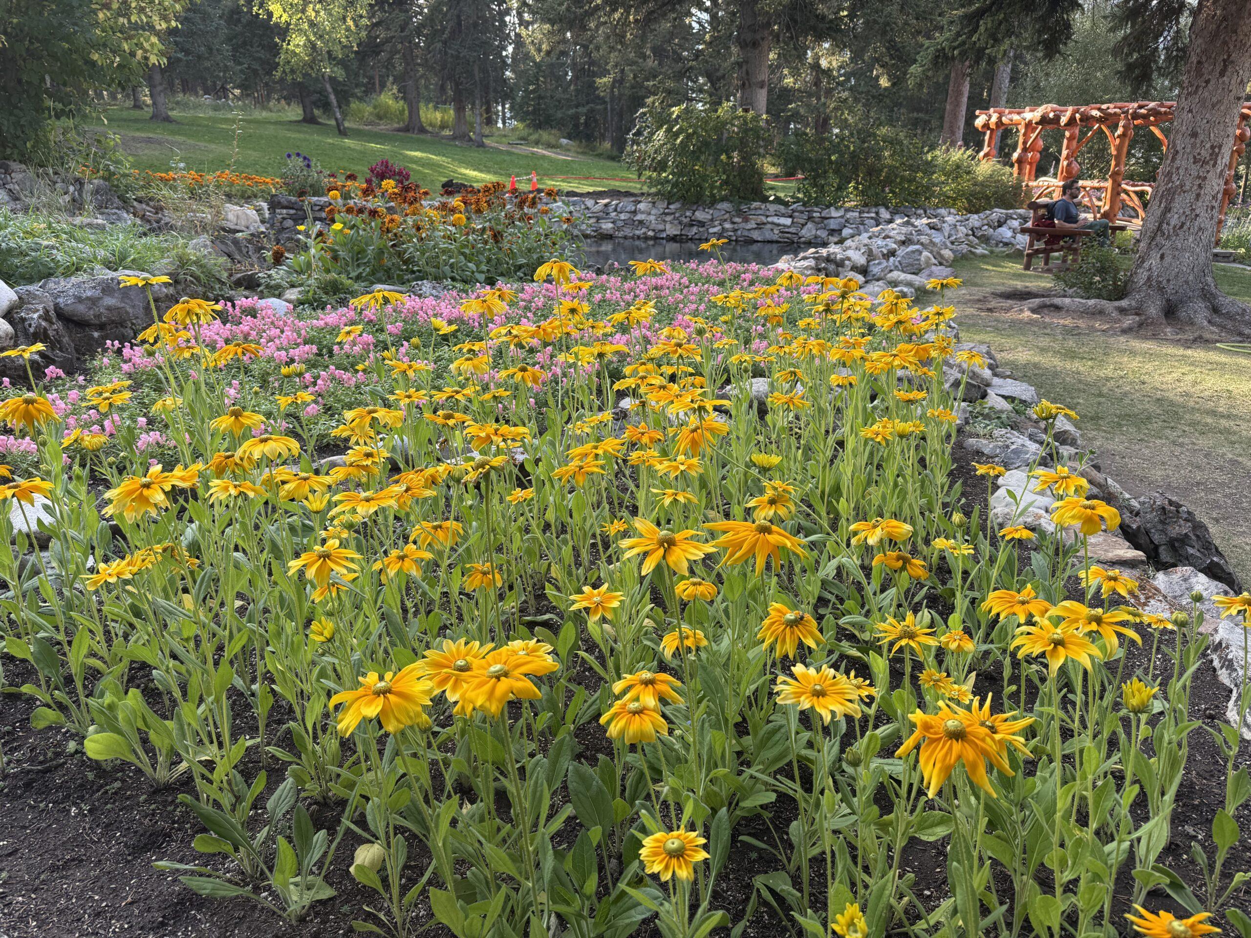 yellow and purple flowers in front of stream with bridge in garden