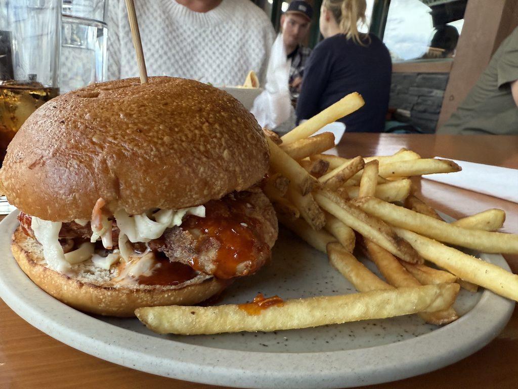 spicy chicken sandwich and french fries