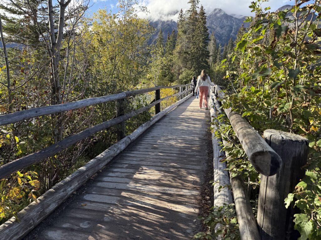 woman on wooden bridge amongst shrubbery in forest