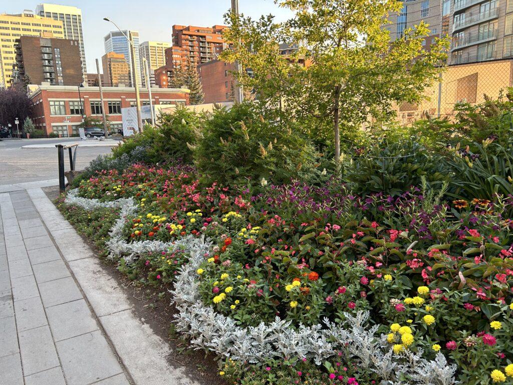 flower garden in the middle of tall buildings in city