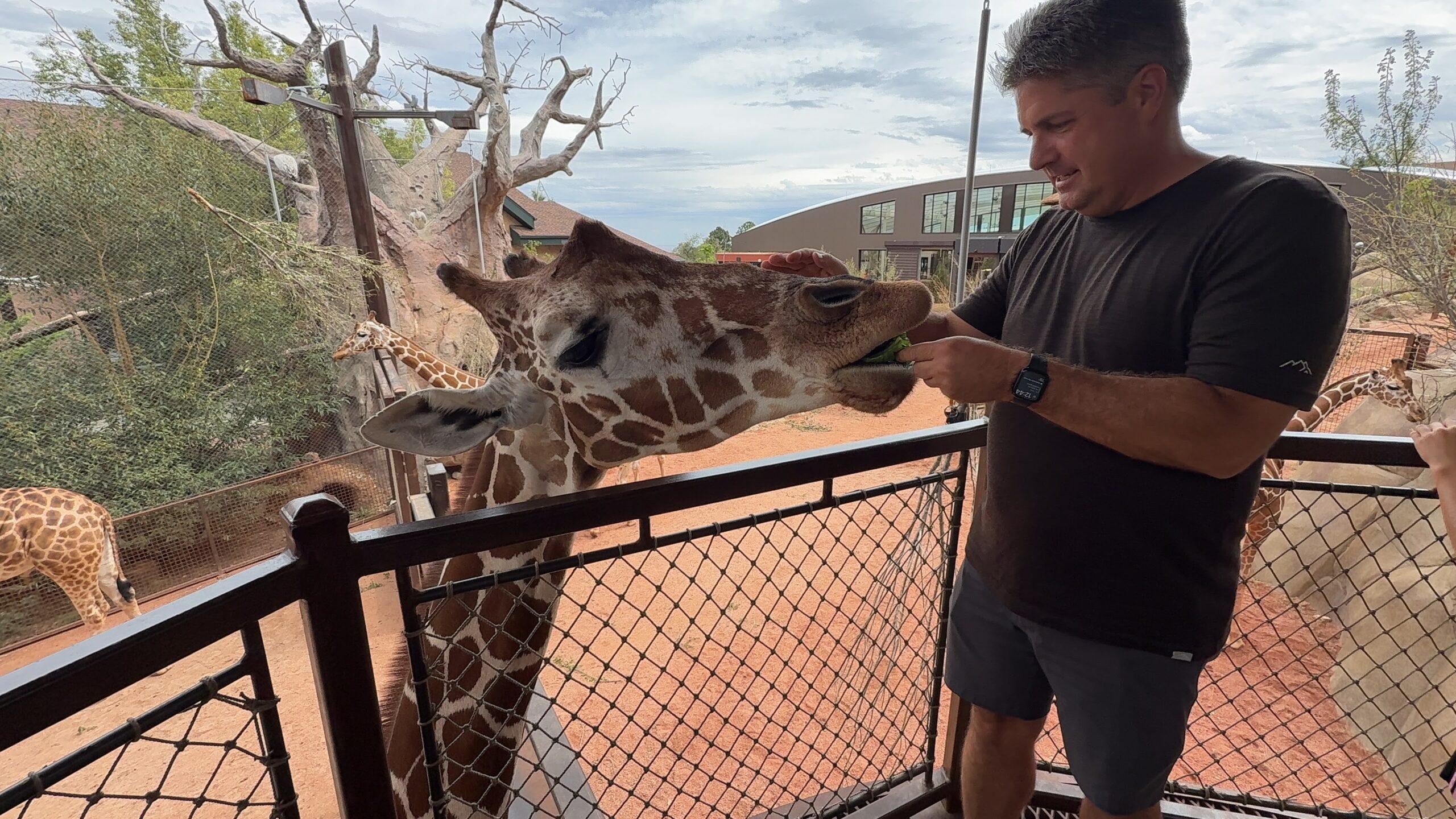 Matt feeding a giraffe from the viewing platform at Cheyenne Mountain Zoo