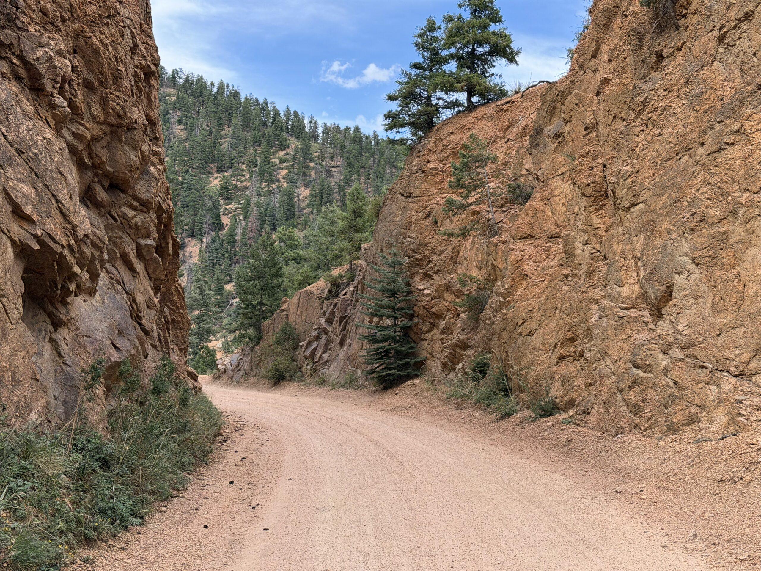 Unpaved Lower Gold Camp Road winding between rocky slopes and pine trees