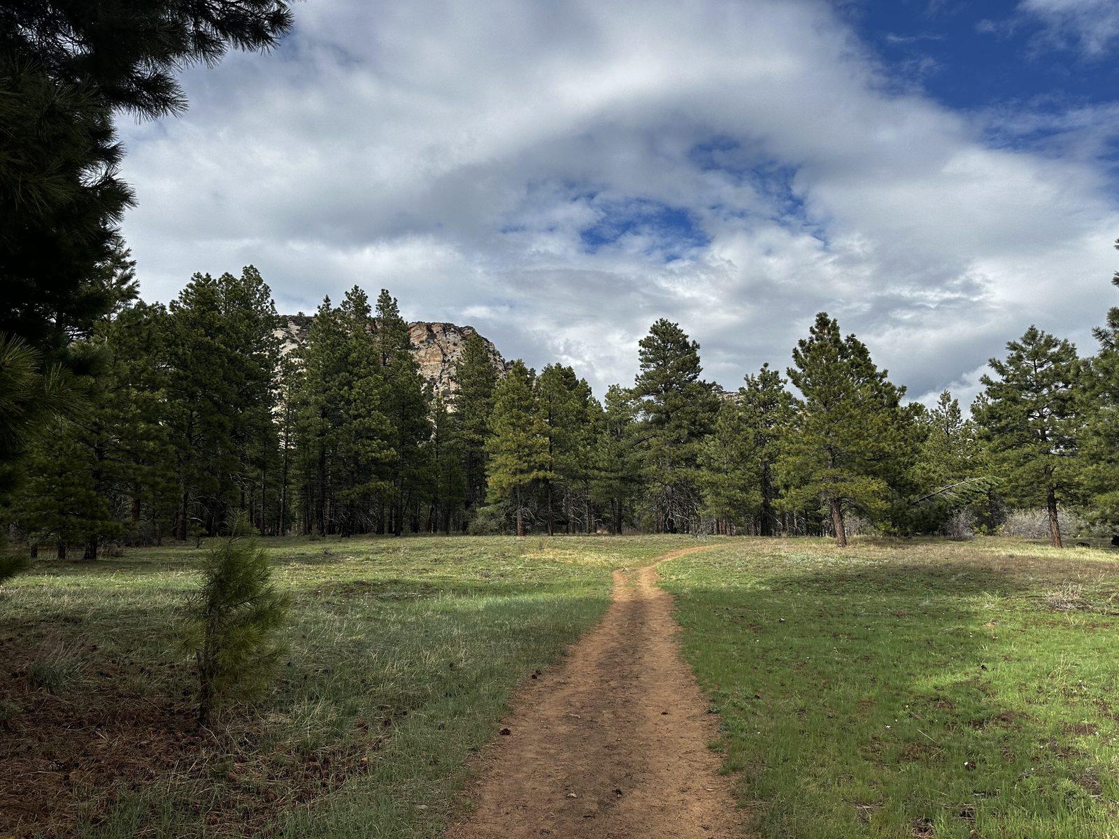 Dirt path crosses a green meadow toward ponderosa pines and a sandstone peak.