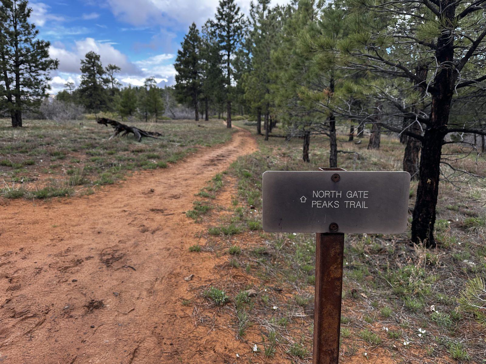 Trail junction sign points toward Northgate Peaks along a dirt path through pine trees.