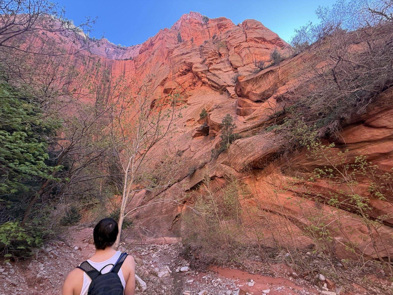 Hiker beneath a red sandstone overhang on Taylor Creek Trail